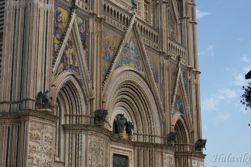 IMG_8382.jpg - ...