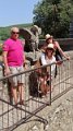 IMG_20210731_150656