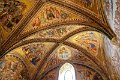 IMG_8396