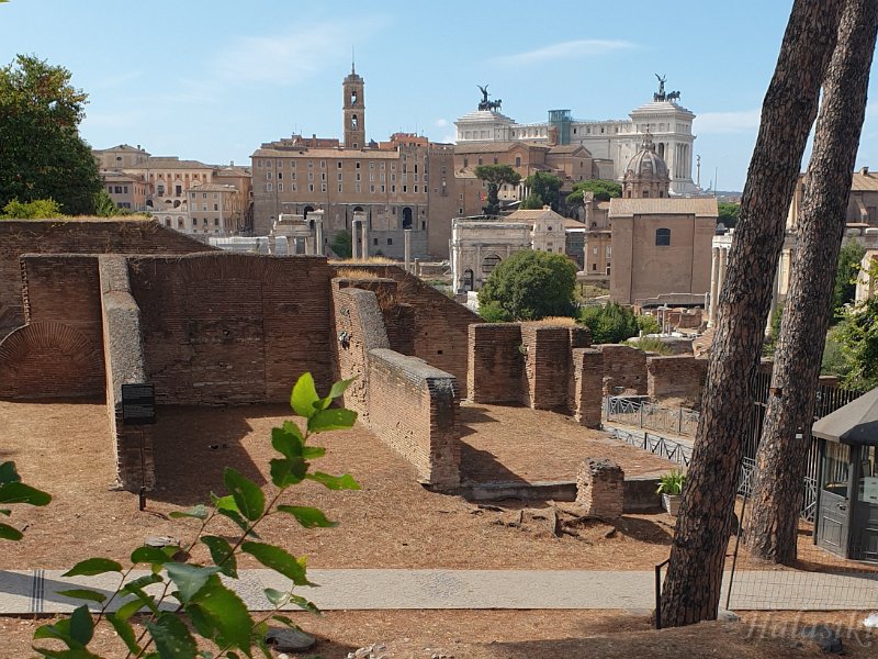 20210807_131848.jpg - Forum Romanum.