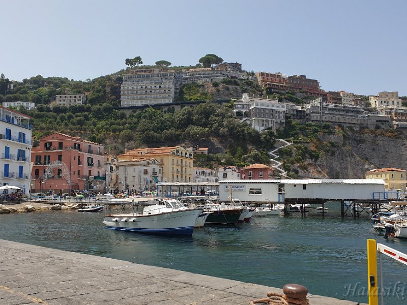 20210801_130037.jpg - ...