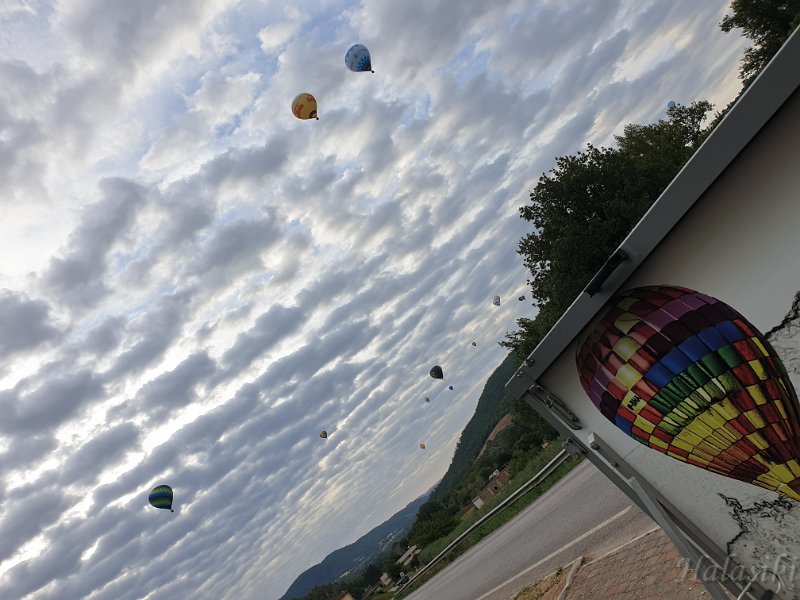 20210804_072041.jpg
