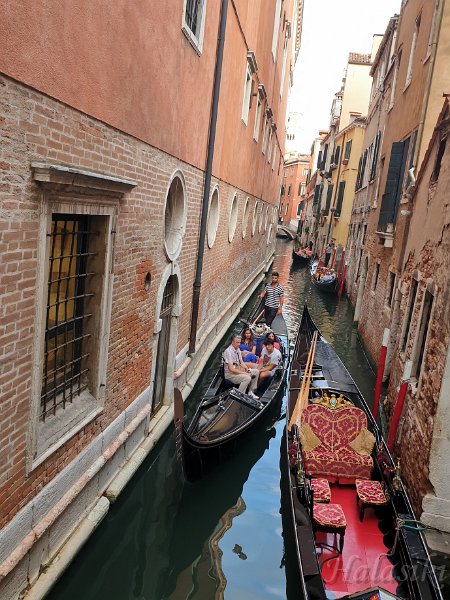 20210808_195617.jpg