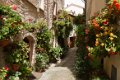 Spello i Montefalco