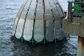 IMG_5988