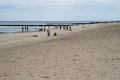 IMG_6138