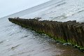 IMG_6167