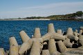 IMG_6446