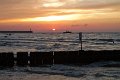 IMG_6503